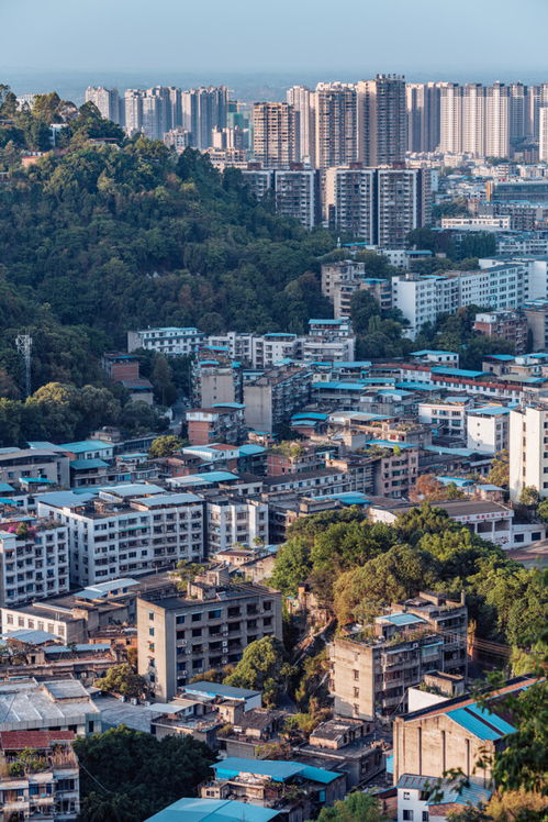 眉山仁壽,四川人口最多的縣,未來(lái)真的會(huì)充滿(mǎn)潛力