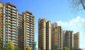 四川金雁房地產(chǎn)開(kāi)發(fā)