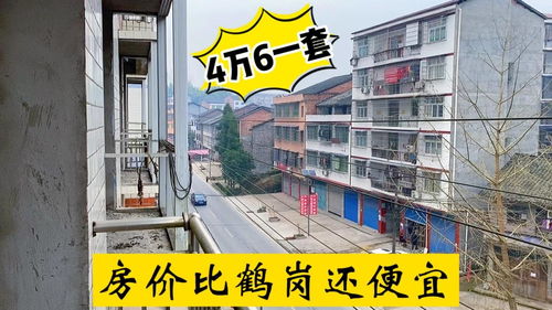 四川小城驚現(xiàn)4.6萬(wàn)三室一廳，房?jī)r(jià)竟比鶴崗還低