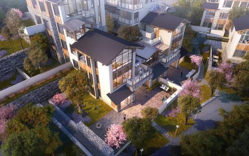 歸原小鎮(zhèn)產(chǎn)品發(fā)布會首秀驚艷山城，仙女山度假房地產(chǎn)迎來震撼盛會