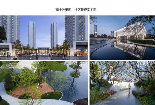 2020年產(chǎn)品力 入圍品質(zhì)項目路演報告合集——聚焦房產(chǎn)長沙站與四川房地產(chǎn)